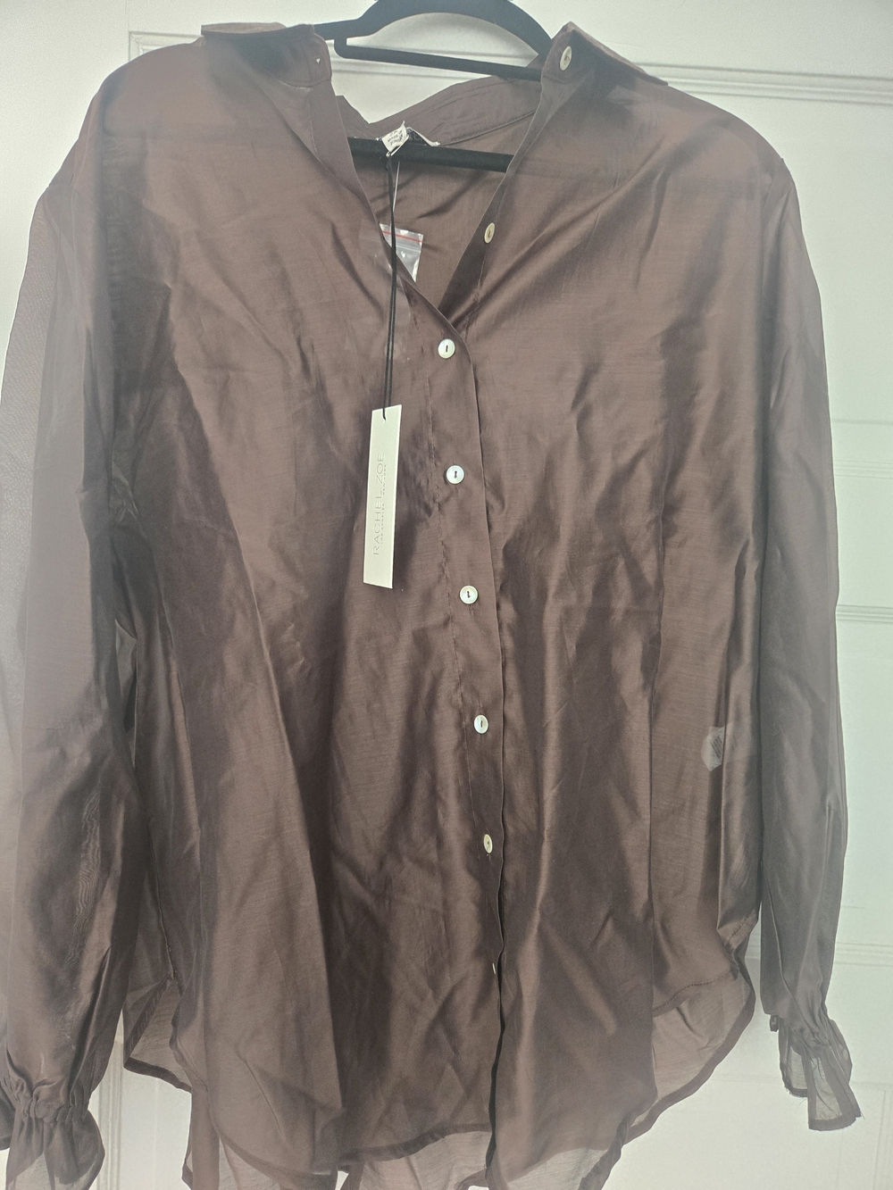 Rachel Zoe Women's Sheer Brown Button-Down Shirt